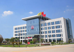 江苏金狮贵宾会_尊贵显赫化学有限公司 土壤污染隐患排查报告及自行监测方案